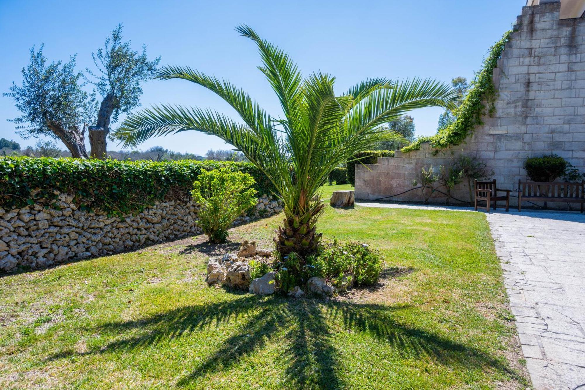 Alloggio per agriturismo Masseria Bosco Di Makyva *