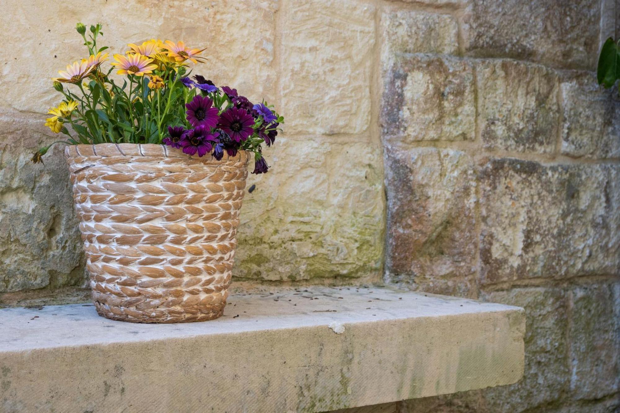 Masseria Bosco Di Makyva Alloggio per agriturismo *